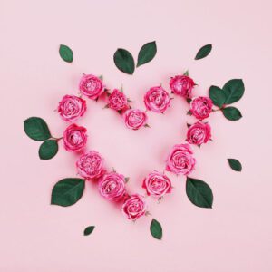 Heart shape made of pink roses.